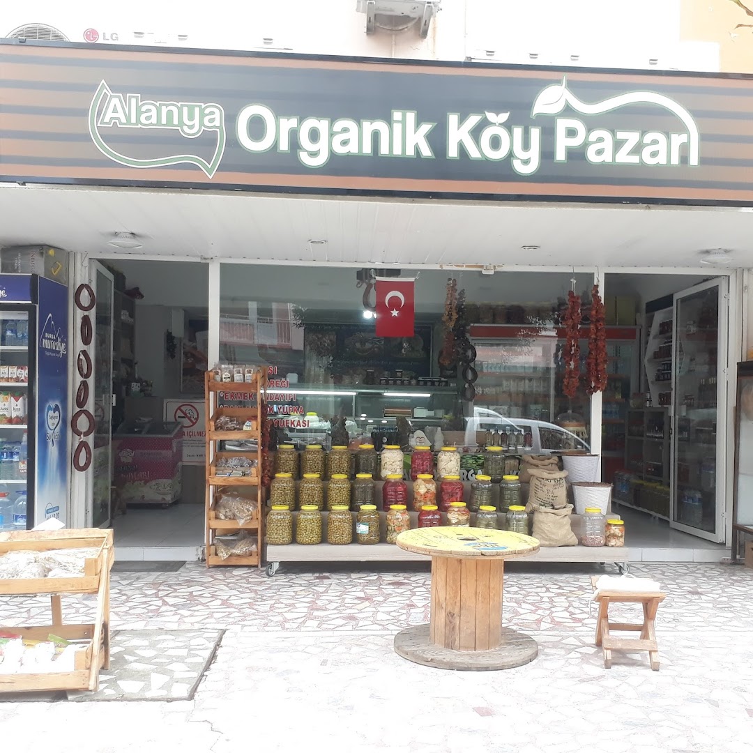 Alanya organik ky pazar