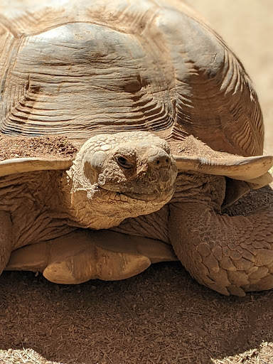 Wildlife Rescue Service «Southwest Wildlife Conservation Center», reviews and photos, 27026 N 156th St, Scottsdale, AZ 85262, USA