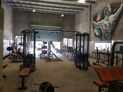 RONNIS GYM