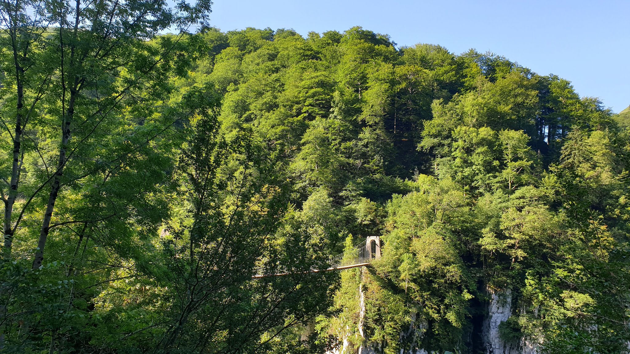 Photo n° 2 de l'avis de FABIEN.A fait le 22/04/2020 à 19:54