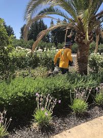 RG Lawn Services - Photo 6 - Car repair in , Merced