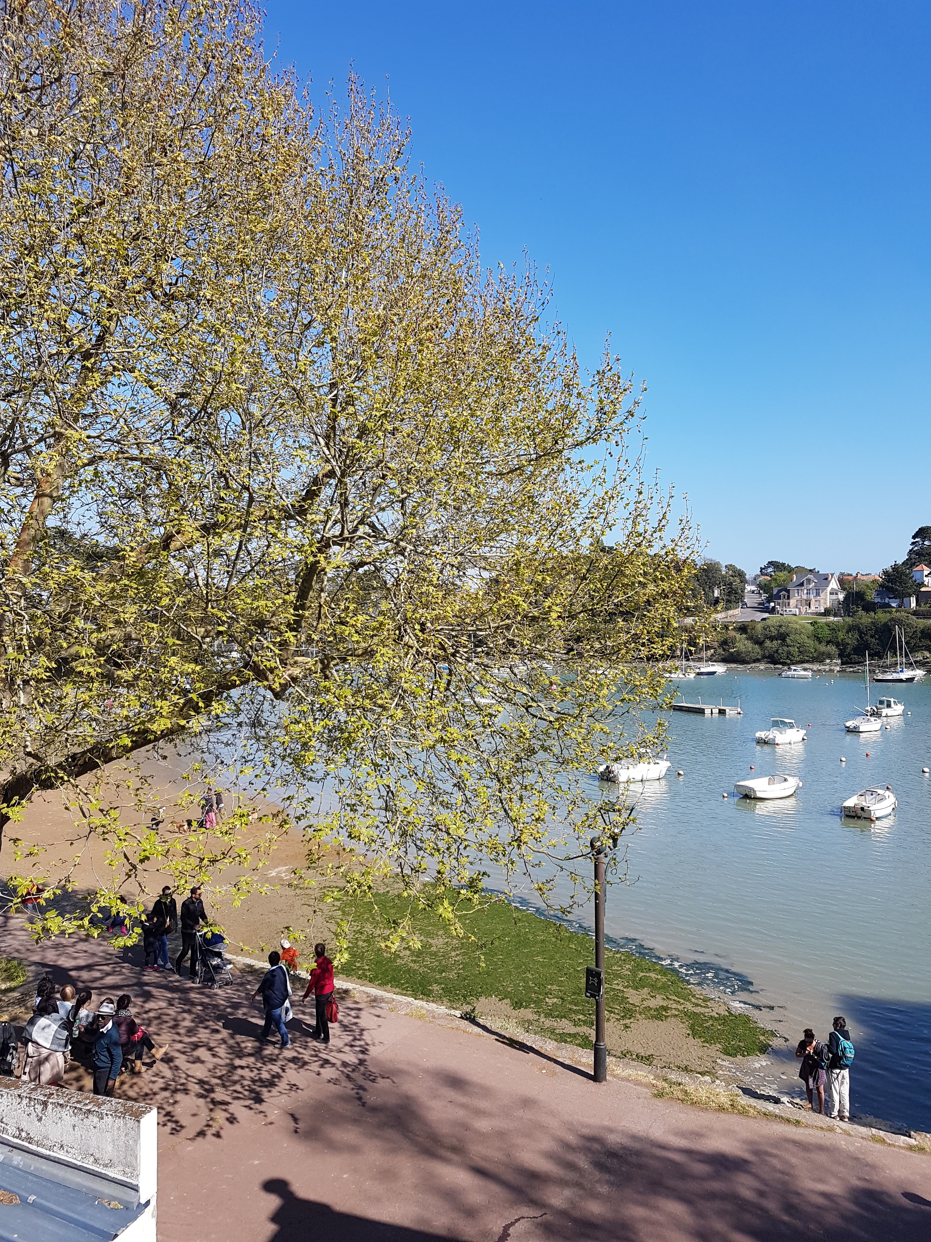Photo n° 5 de l'avis de Jean.i fait le 21/03/2019 à 14:06