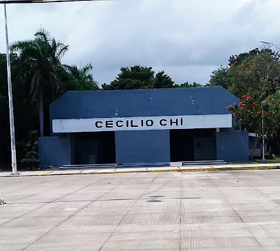 Gimnasio Cecilio Chi - 77509, C. Punta Pulticub 25B, Cancún, Q.R., Mexico