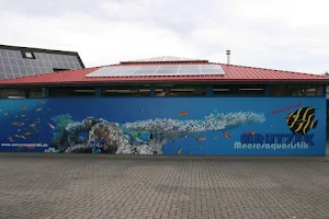 Mrutzek Marine Aquarium GmbH image
