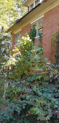 College «Brevard College», reviews and photos