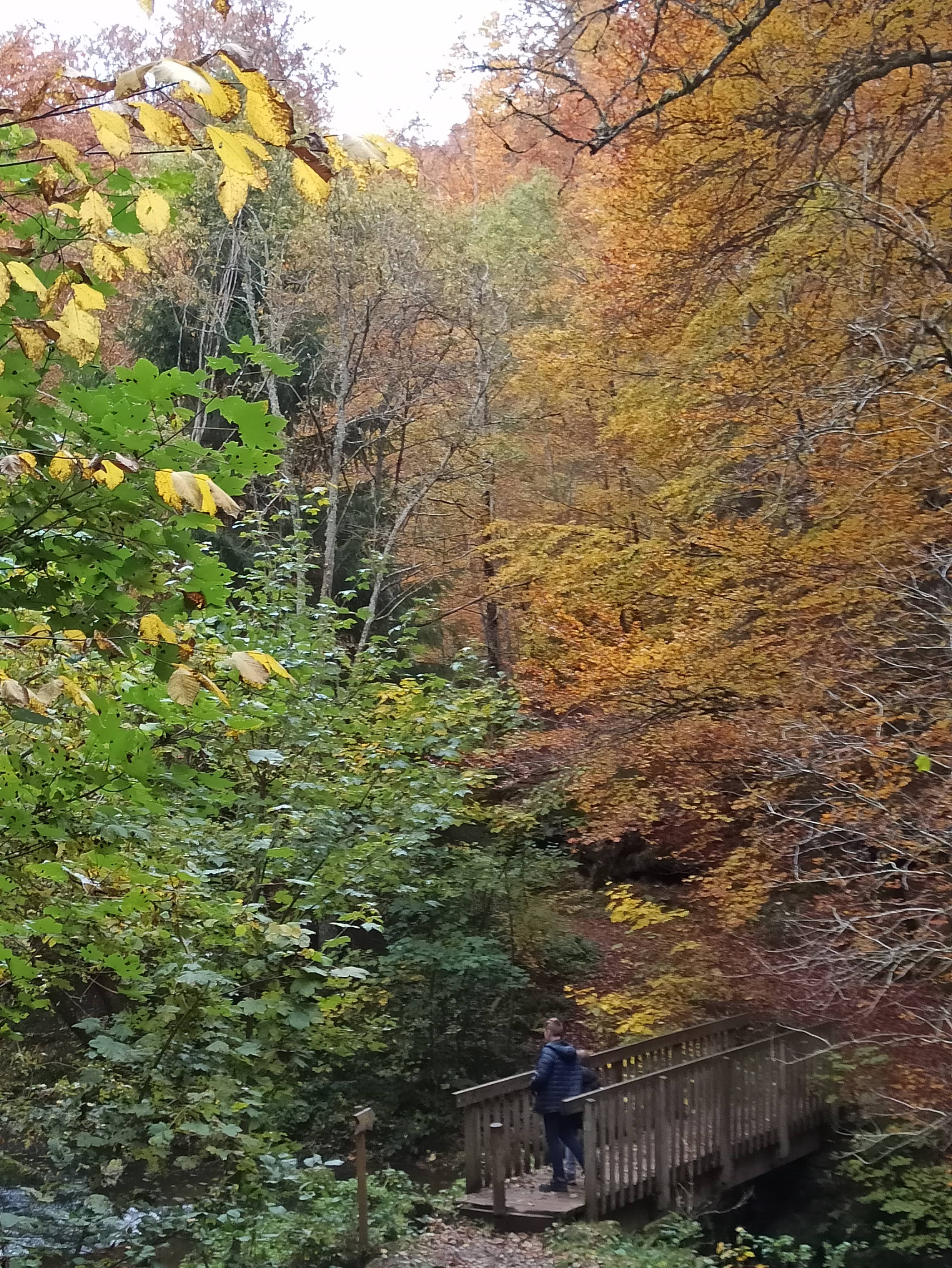 Photo n° 1 de l'avis de GAELLE.e fait le 24/10/2020 à 09:23