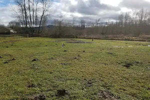Orting Dog Park image