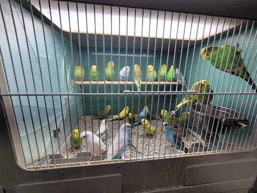 Pet Store «Southside Aquatics», reviews and photos, 2039 Pleasanton Rd, San Antonio, TX 78221, USA