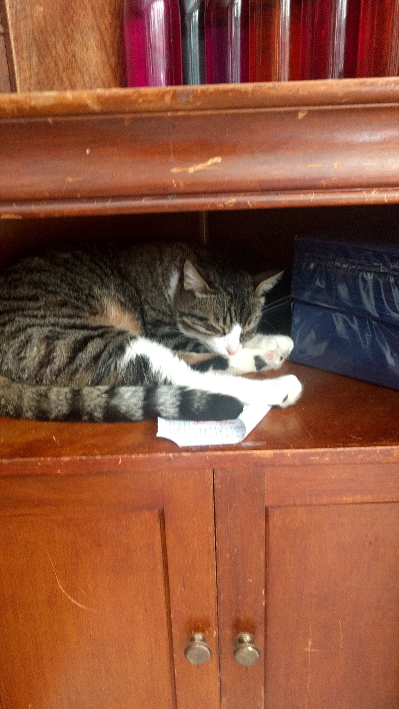 Photo n° 4 de l'avis de marie..l fait le 08/05/2018 à 09:07