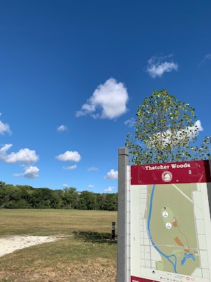 Thatcher Woods - photo 84