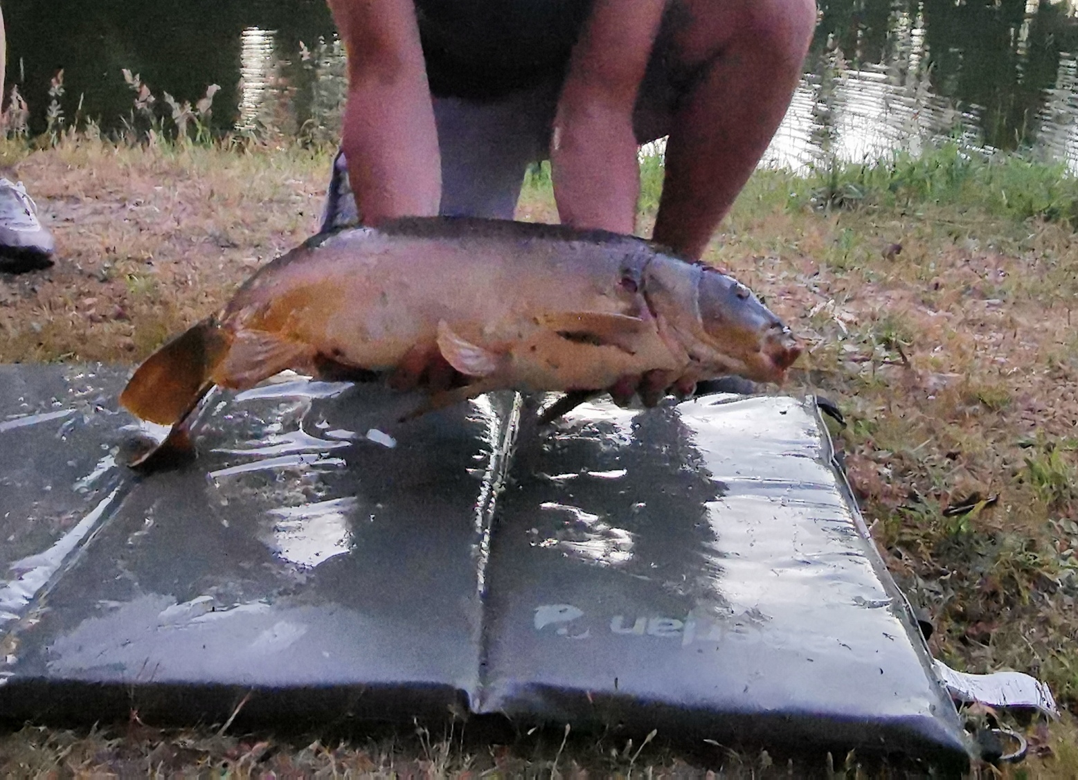 Photo n° 4 de l'avis de Marie.A fait le 12/06/2022 à 15:20