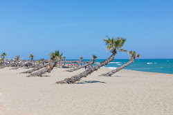 Plage du Lydia'in fotoğrafı imkanlar alanı