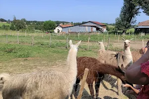 Ferme pédagogique les 2 cocottes image