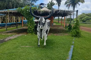 Hotel Fazenda Portal da Amazônia image