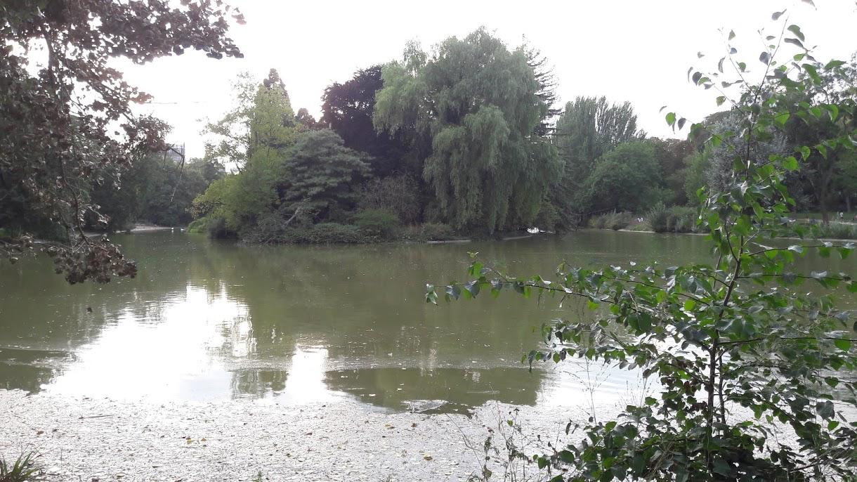 Photo n° 1 de l'avis de Françoise. fait le 31/08/2019 à 09:34