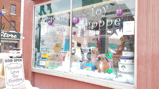 Toy Store «Bloomsbury Lane Toy Shoppe», reviews and photos, 1 W Main St, Lancaster, NY 14086, USA