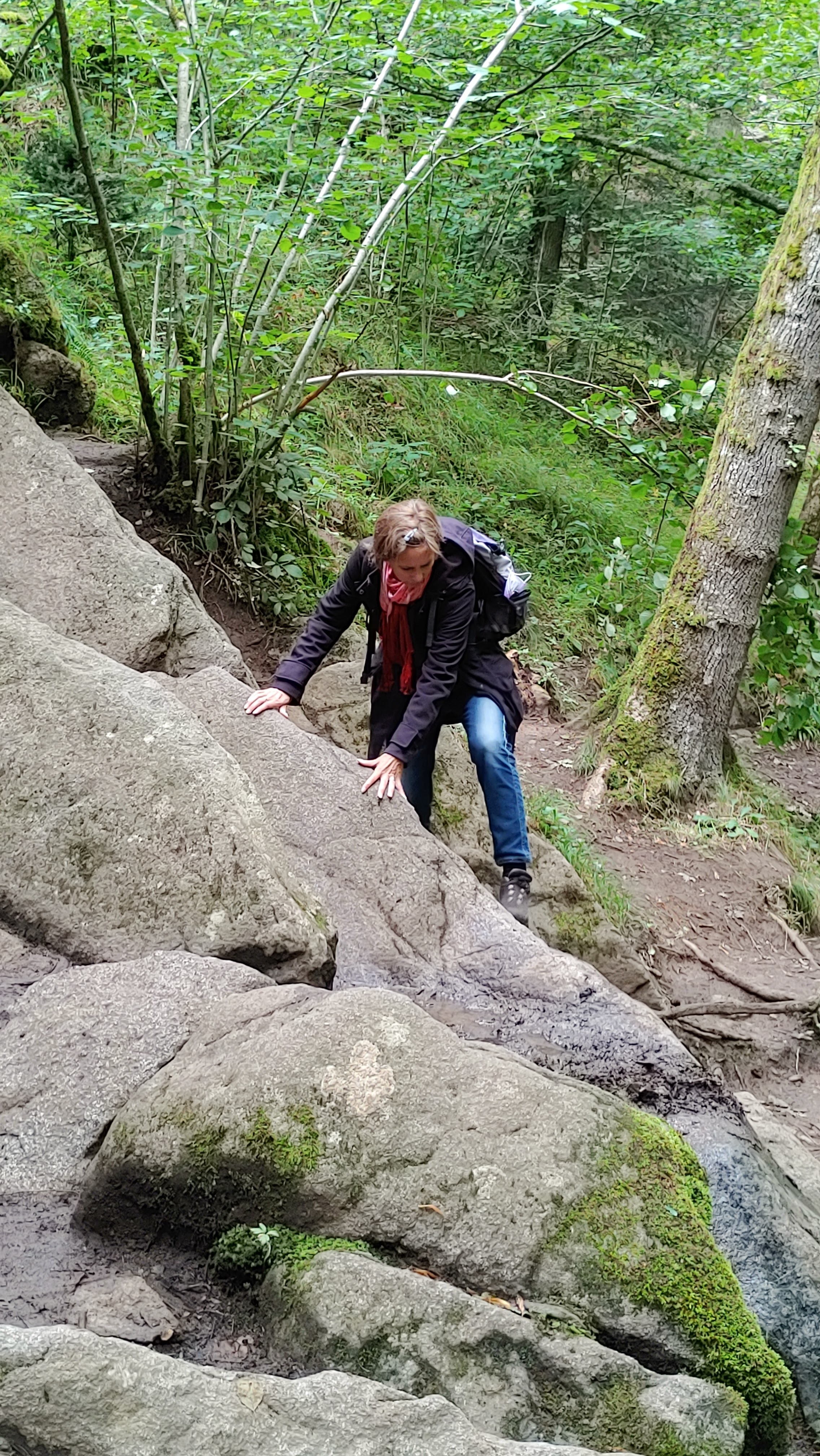 Photo n° 13 de l'avis de Oliver.o fait le 15/02/2022 à 03:39