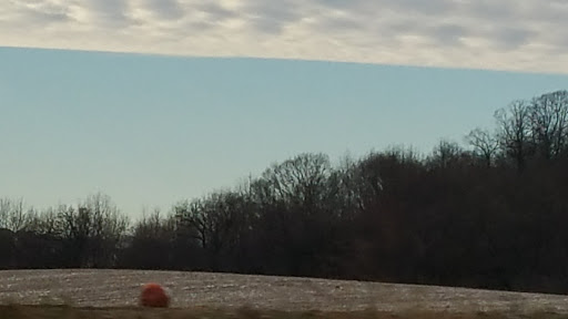 Golf Course «Braemar Golf Course», reviews and photos, 6364 John Harris Dr, Minneapolis, MN 55439, USA