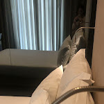 Photo n°4 de l'avis de Lean. fait le 23/09/2023 à 16:46 sur le  Porto Royal Bridges à Porto