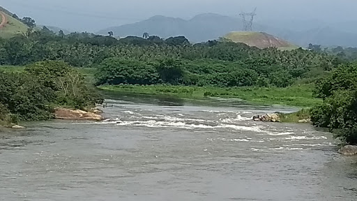 Rio Guandu