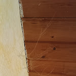 Photo n°7 de l'avis de Roberto.a fait le 16/07/2023 à 02:33 sur le  Campeggio Villaggio Fiemme Village - Piazzole e case mobili - Val di Fiemme à Predazzo