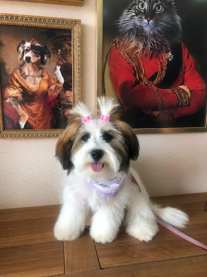 Pet Shop Store Mundo Aquatico - Passo Fundo Centro RS