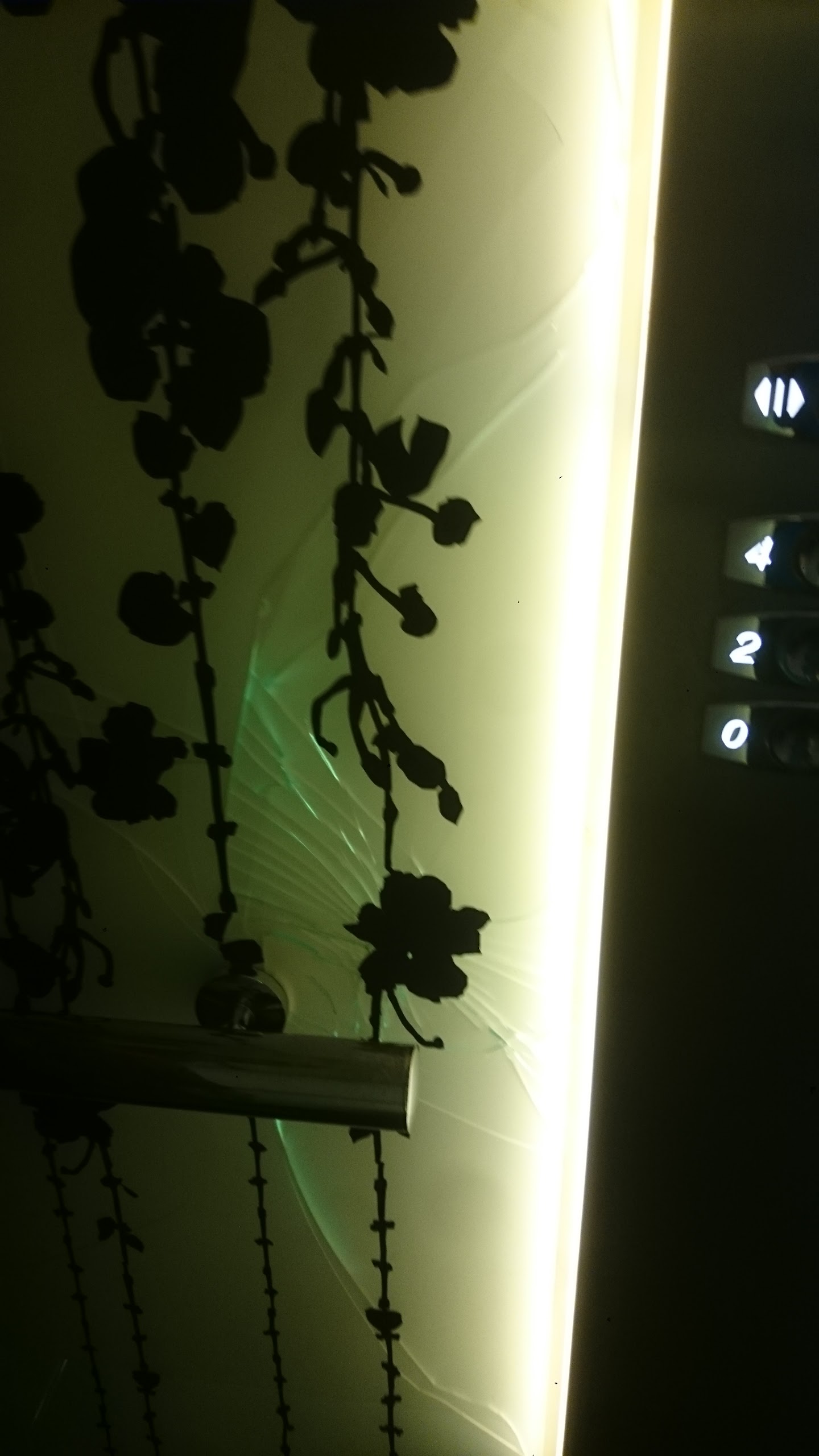 Photo n° 6 de l'avis de Bobo.o fait le 17/02/2018 à 20:36