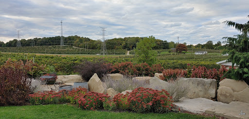 Quarry Hill Winery image 5