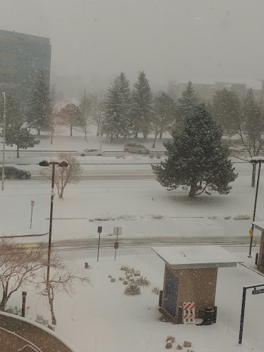 Association or Organization «United Services Automobile Association», reviews and photos