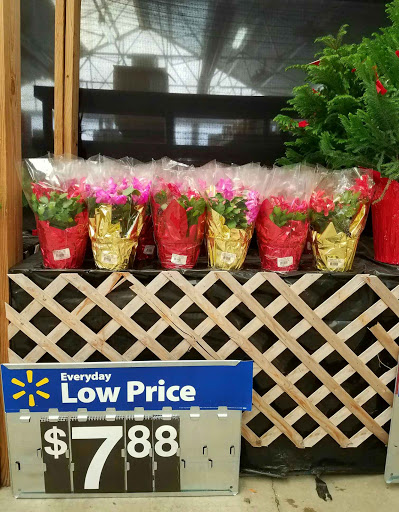 Department Store «Walmart Supercenter», reviews and photos, 1500 S Centerville Rd, Sturgis, MI 49091, USA