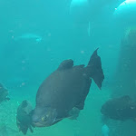 Photo n° 19 de l'avis de David.r fait le 09/05/2023 à 19:07 pour ZooParc de Beauval Entrée Nord à Saint-Aignan