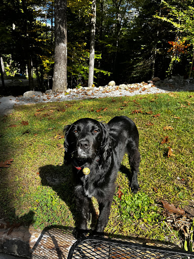 Meredith Place Veterinary Emergency Hospital image