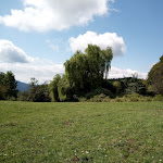 Photo n°1 de l'avis de LavagnoLuca. fait le 06/09/2020 à 14:26 sur le  Agriturismo Il Rifugio à Castel Vittorio