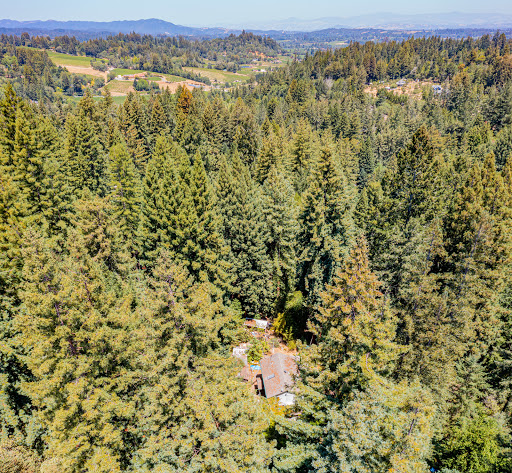 Dan Barlow Realtor image