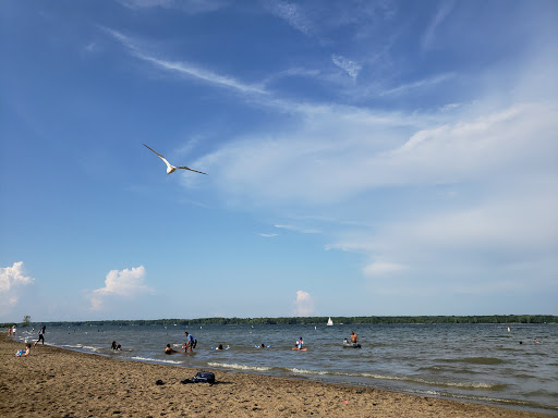 Alum Creek State Park Beach