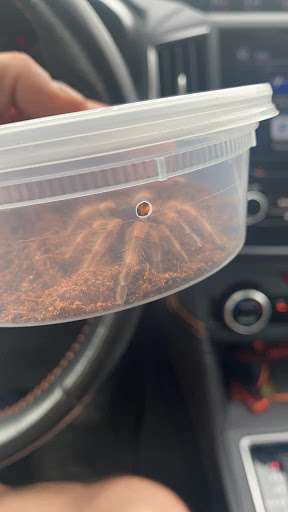 Pet Store «Birds & Beasts Pet Shop», reviews and photos, 35 Berkshire Dr # 18, Crystal Lake, IL 60014, USA