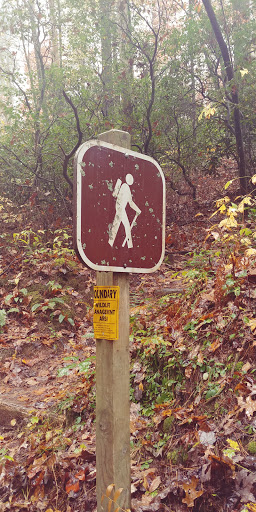 Forest Service Trail #211