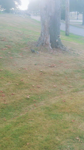 Park «Kennedy Park», reviews and photos, S Main St, Fall River, MA 02724, USA