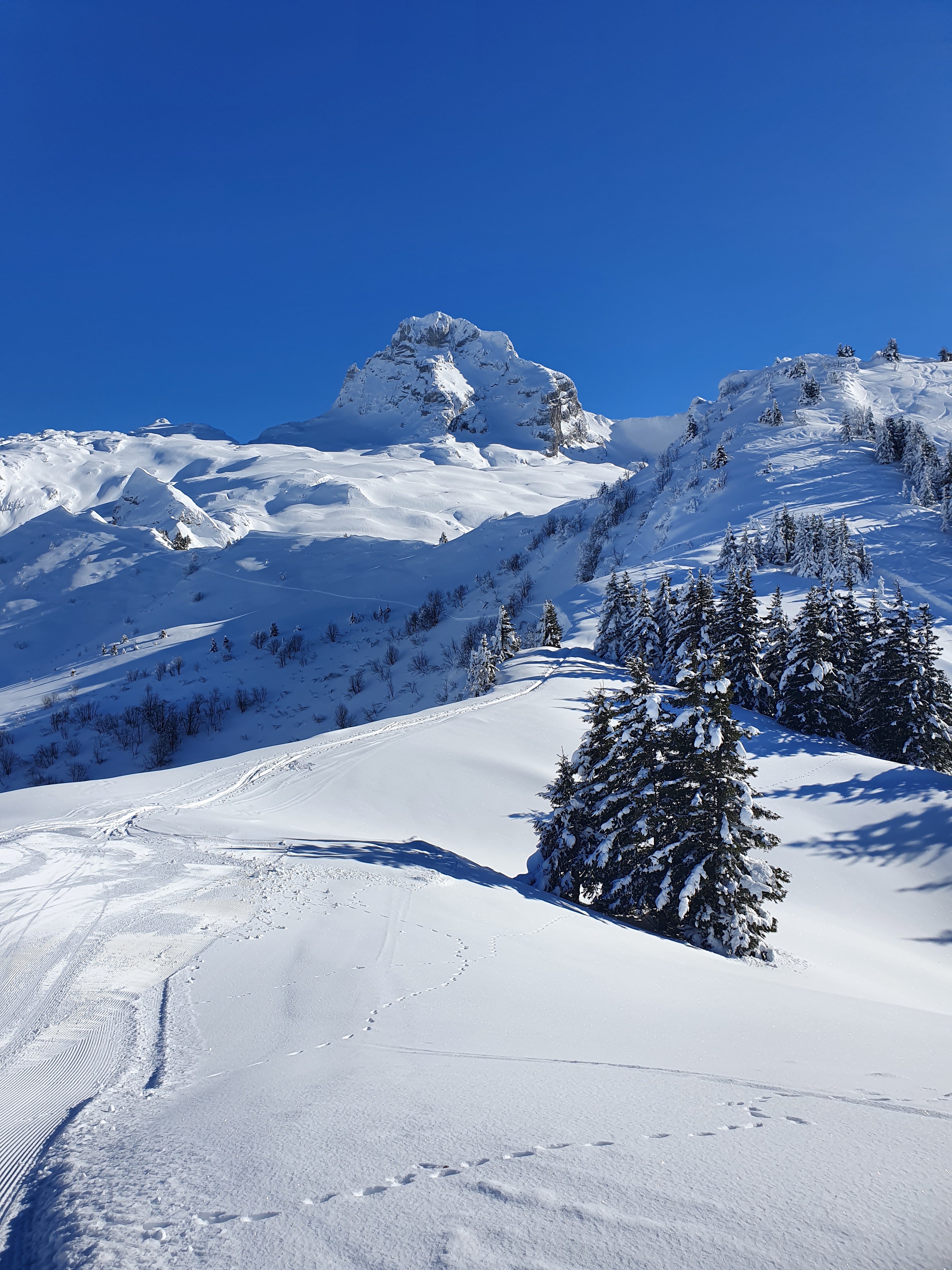 Photo n° 3 de l'avis de Olivier.a fait le 14/01/2024 à 17:51