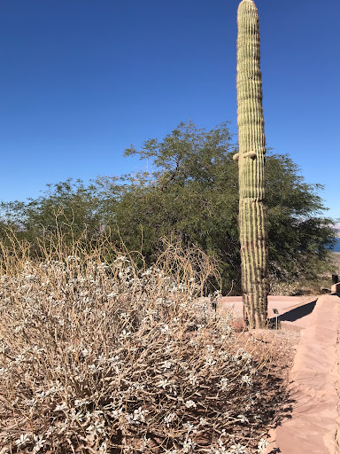 Visitor Center «Lake Mead Visitor Center», reviews and photos