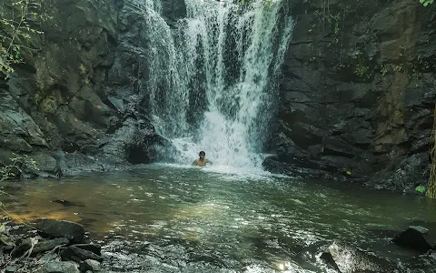 Vattayi Waterfalls image