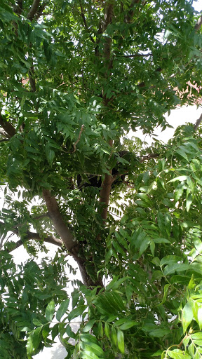 Outdoor Sports Store «Coleman® Outlet #319», reviews and photos, 235 N Saint Francis St, Wichita, KS 67202, USA