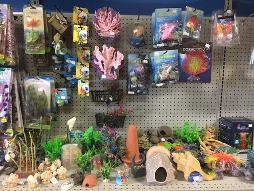 Pet Store «The Pet Shop», reviews and photos, 2235 S Power Rd #107, Mesa, AZ 85209, USA