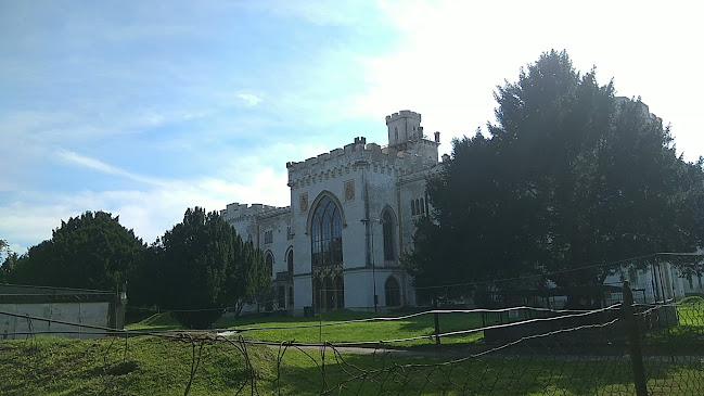 Zichyho kaštieľ v Rusovciach - Múzeum