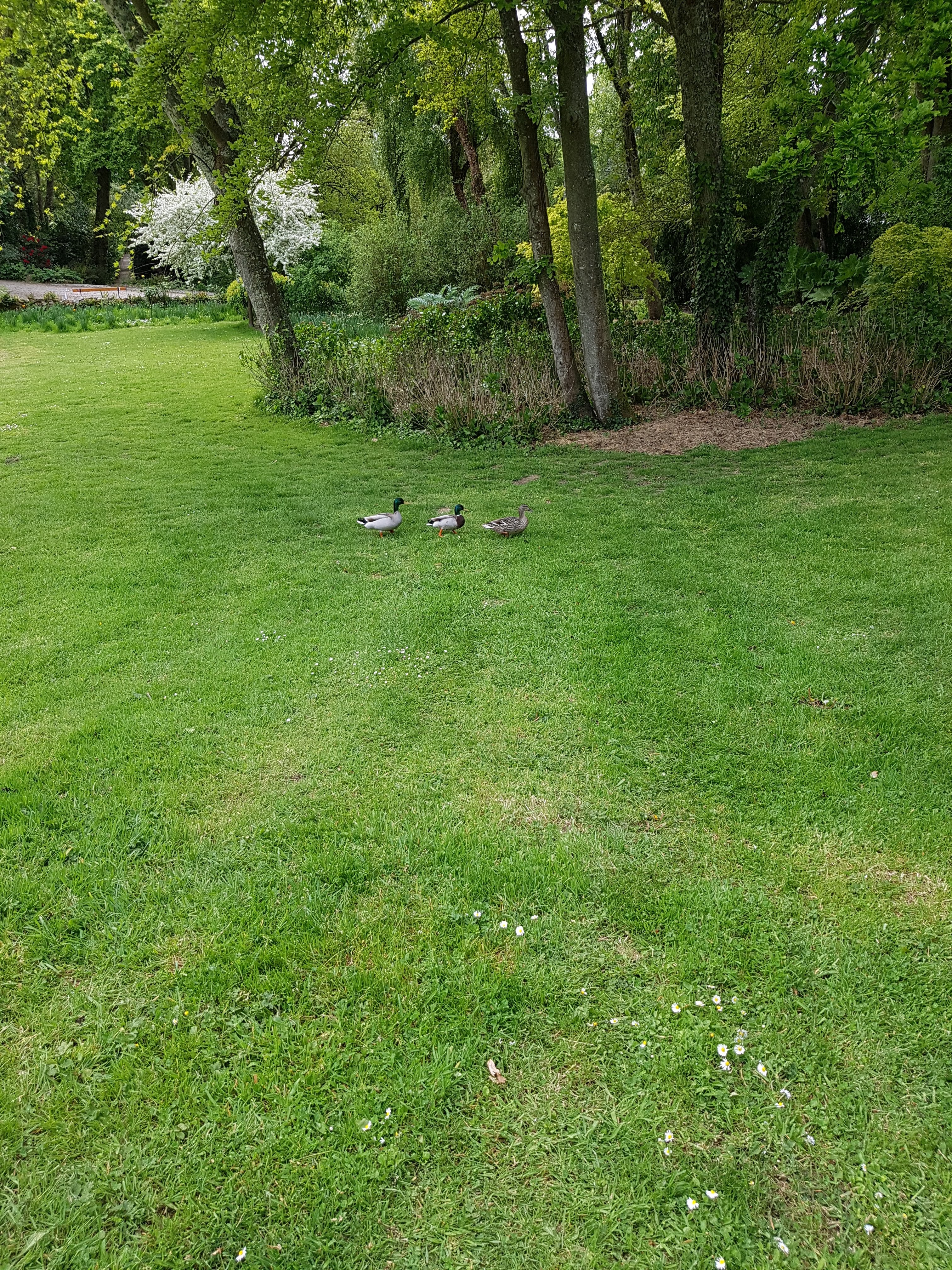 Photo n° 7 de l'avis de Dominique.r fait le 07/05/2019 à 14:28