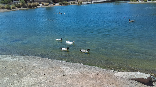 Park «Lorenzi Park», reviews and photos, 3343 W Washington Ave, Las Vegas, NV 89107, USA