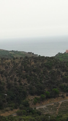 Solane Père et Fils (SARL) à Banyuls-sur-Mer