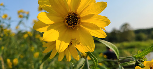 State Park «Willow River State Park», reviews and photos, 1034 County Highway A, Hudson, WI 54016, USA