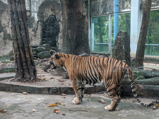 Secret gardens in Ho Chi Minh