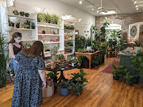 Ergo Floral - Photo 7 - Car repair in St Paul, MN, St. Paul